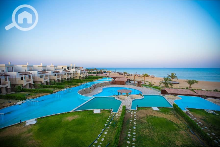 25 494998753_545689868614711_1456258590545381577_n. jpg