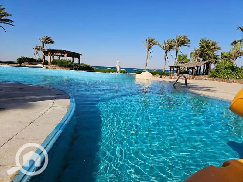 26 495369735_545689848614713_5987371372422528371_n. jpg