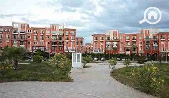 1000599166. jpg 1000599166. jpg