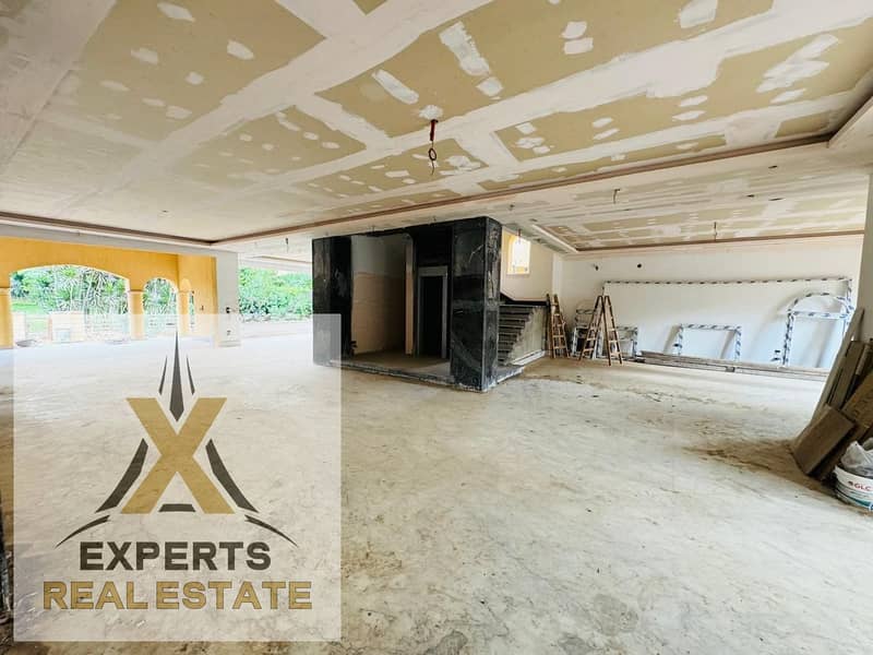 3 012f9448-742a-4a6f-ba36-a44e418ef4d4. jpg