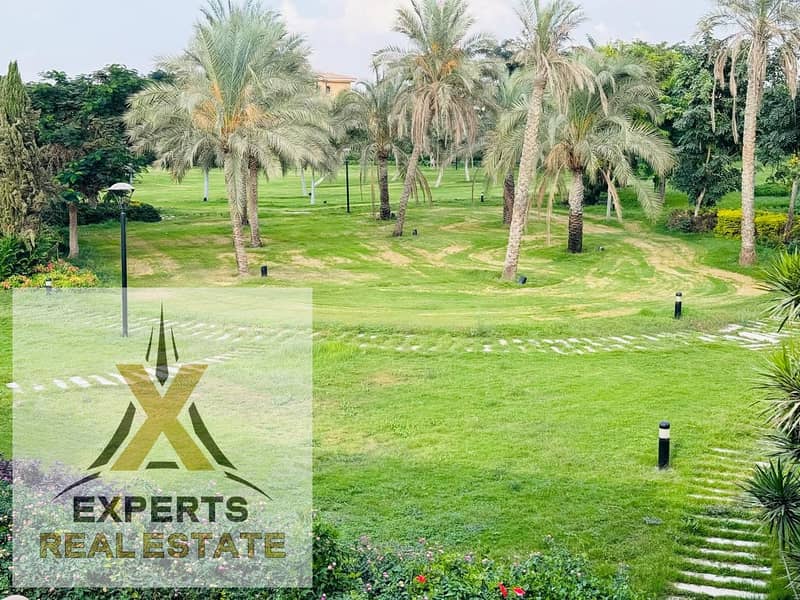 9 2931bf60-2a11-4f5b-b652-79d83e467ce2. jpg