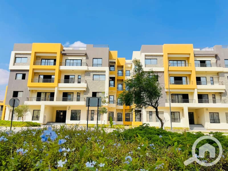 2 WhatsApp Image 2022-10-17 at 11.45. 50 AM. jpeg