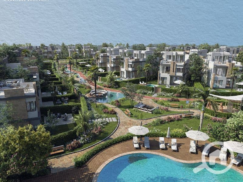 2 Screenshot 2025-01-13 135357_800x600. jpg