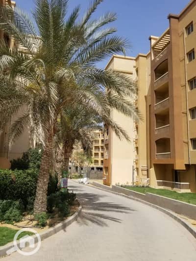 بنتهاوس 3 غرف نوم للبيع في 6 أكتوبر، الجيزة - WhatsApp Image 2026-01-04 at 11.34. 06 PM (3). jpeg