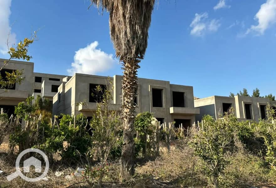 6 8205908-cc8dbo. JPG