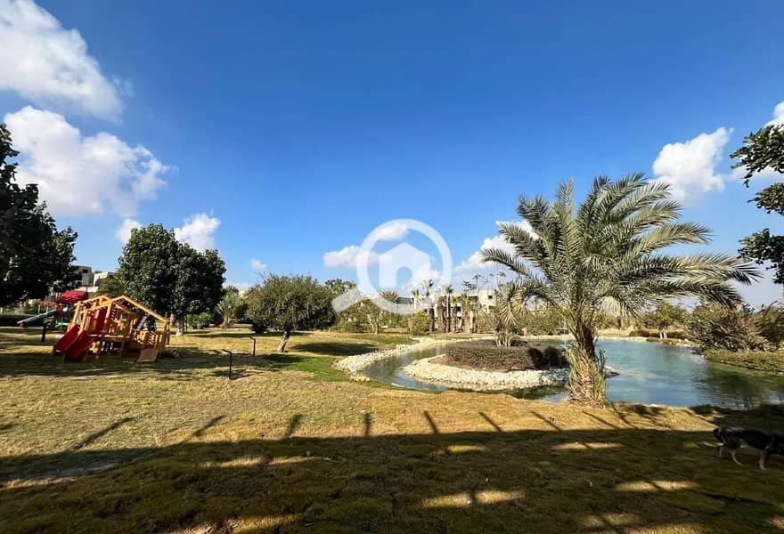 8 8216928-05983o. JPG