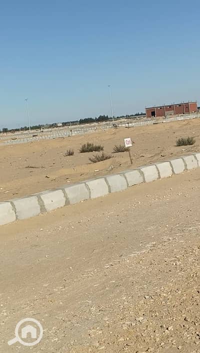 أرض سكنية  للبيع في مدينة الإسماعيلية، الإسماعيلية - WhatsApp Image 2026-01-10 at 11.07. 49 AM. jpeg