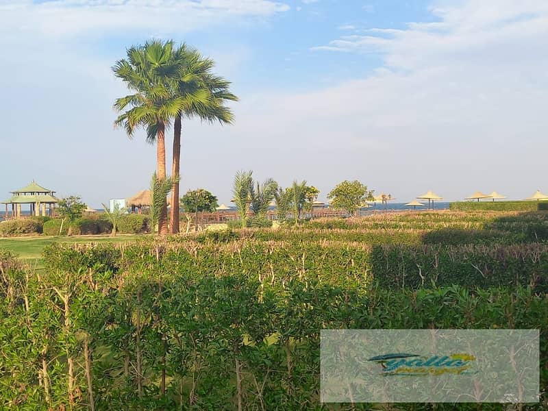 2 69033273cafc7_IMG-20251030-WA0018. jpg