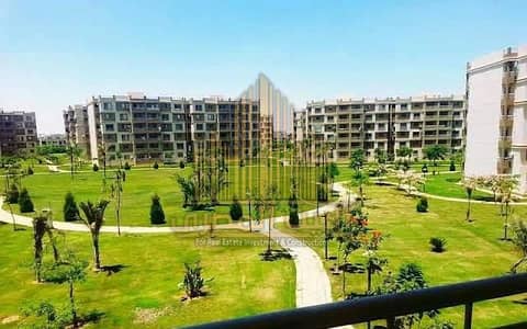 3 Bedroom Apartment for Rent in Madinaty, Cairo - WhatsApp Image 2026-01-05 at 4.55. 47 PM. jpeg 3 Bedroom Apartment for Rent in Madinaty, Cairo - WhatsApp Image 2026-01-05 at 4.55. 47 PM. jpeg