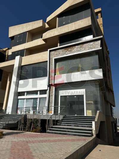 مکتب  للايجار في القاهرة الجديدة، القاهرة - WhatsApp Image 2026-01-07 at 12.46. 27 PM (1)-Photoroom. png