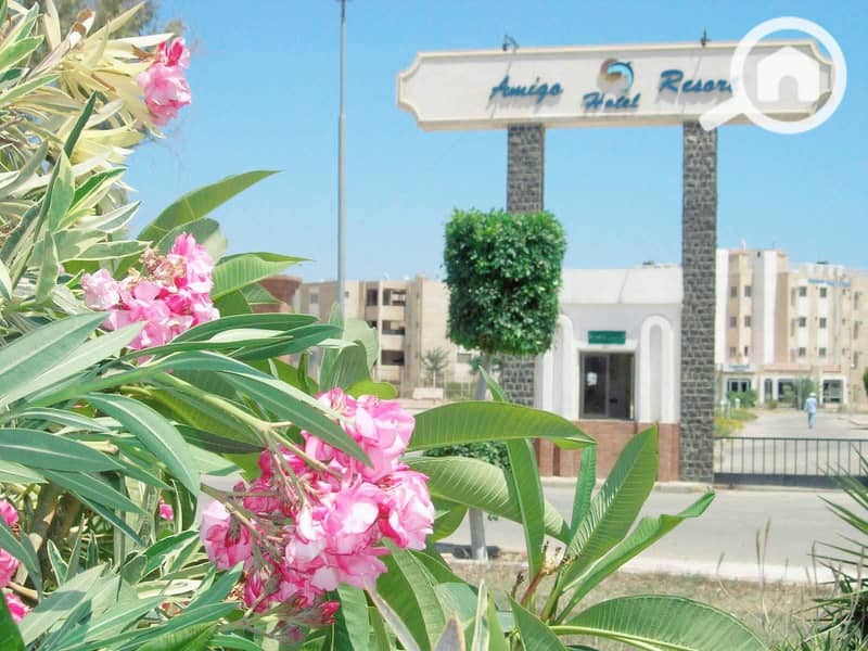 3 4237597c-1d22-4daa-9561-0df53687d0cb. jpg