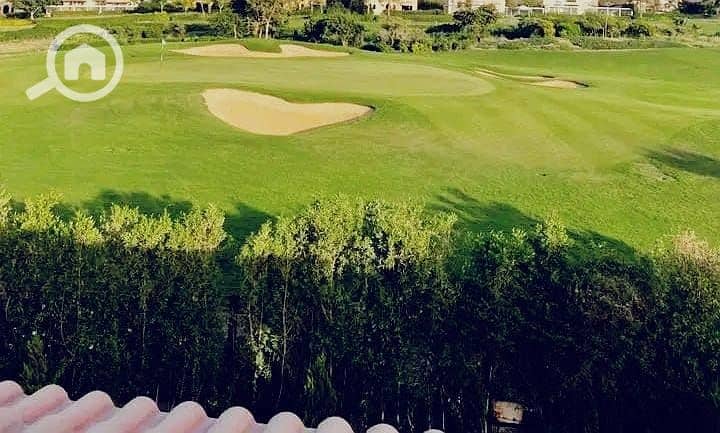 2 57394080-9759-4359-a643-bff582085dc7. jpg