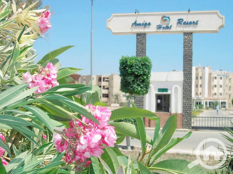 3 4237597c-1d22-4daa-9561-0df53687d0cb. jpg