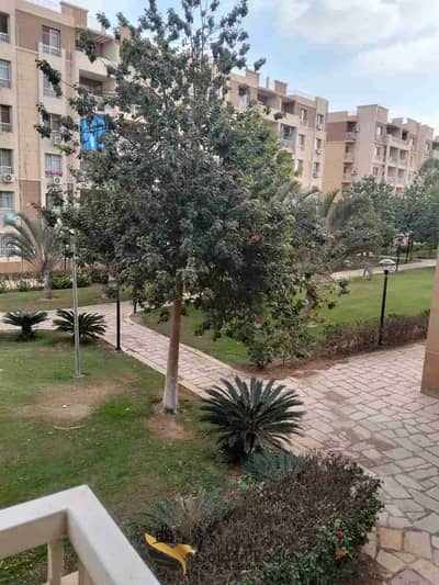 3 Bedroom Flat for Rent in Madinaty, Cairo - 1000579152. jpg