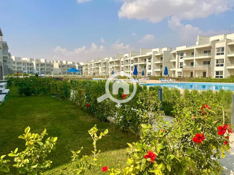 5 8650de95-0906-4995-89ac-0a229045e824. jpg