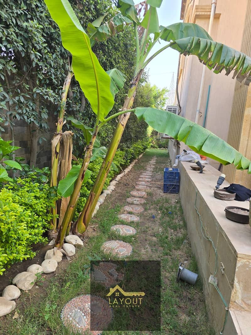 14 bf7ffdda-018f-4583-85c4-d5aa1fd5ab46. jpg