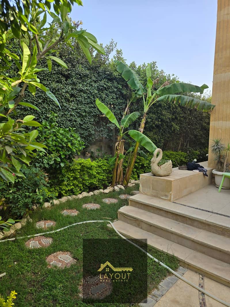 19 47210687-4c53-4dec-b2d5-9d7d54d85dc8. jpg