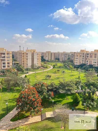 3 Bedroom Apartment for Sale in Madinaty, Cairo - WhatsApp Image 2026-01-10 at 12.29. 42 PM (2). jpeg 3 Bedroom Apartment for Sale in Madinaty, Cairo - WhatsApp Image 2026-01-10 at 12.29. 42 PM (2). jpeg