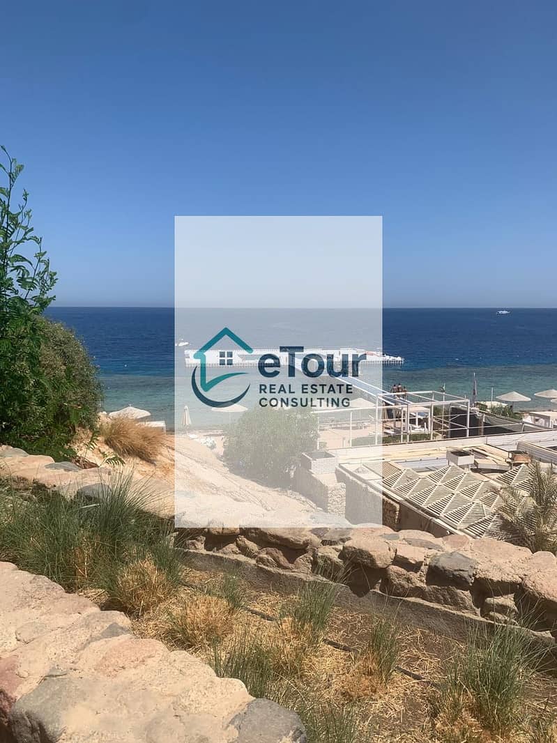 6 ff1e2ac2-0749-42d4-8498-68cecf27cd31. jpg