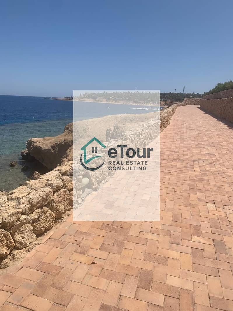 7 cf223ae5-f5e8-46e9-862c-6335418e9c5b. jpg