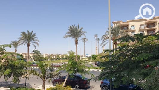 3 Bedroom Flat for Rent in New Cairo, Cairo - WhatsApp Image 2026-01-10 at 2.10. 20 PM. jpeg