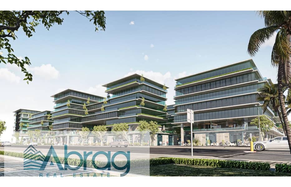 9 hassan (1). 2. jpg