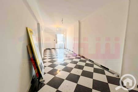 3 Bedroom Apartment for Sale in Al Ibrahimiyyah, Alexandria - WhatsApp Image 2026-01-10 at 2.15. 42 PM (1). jpg 3 Bedroom Apartment for Sale in Al Ibrahimiyyah, Alexandria - WhatsApp Image 2026-01-10 at 2.15. 42 PM (1). jpg