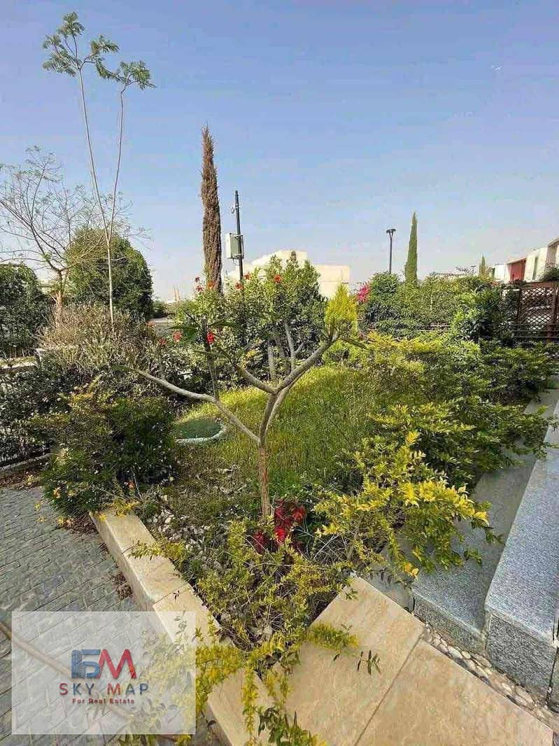 3 b2e50509-6824-4987-8665-0484b3d31f6e. jpg