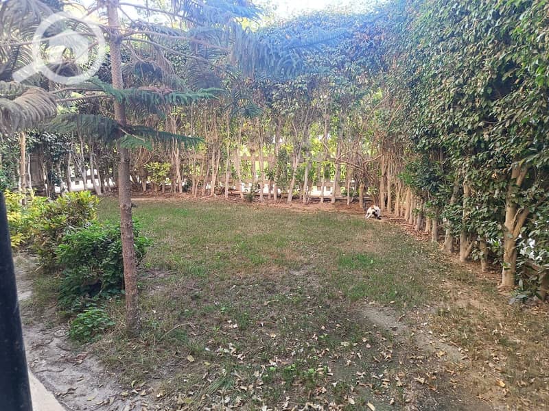 13 612396334_1525484709580100_2961259901795480835_n (1). jpg