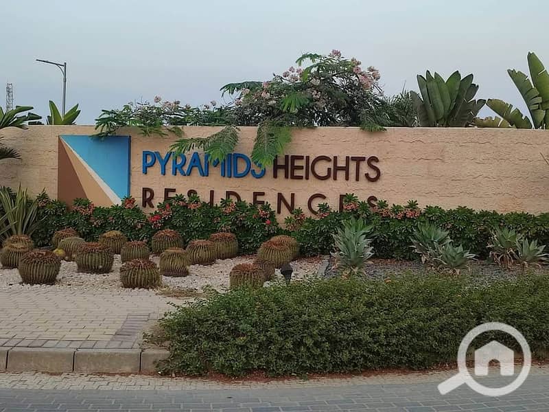 10 481286029_9924628067556041_1681785399437129333_n. jpg