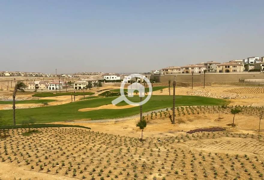 4 8317947-9d5e1o. jpg