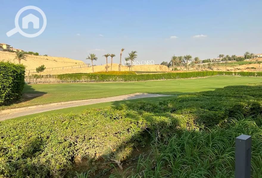 11 8317947-edc25o. jpg