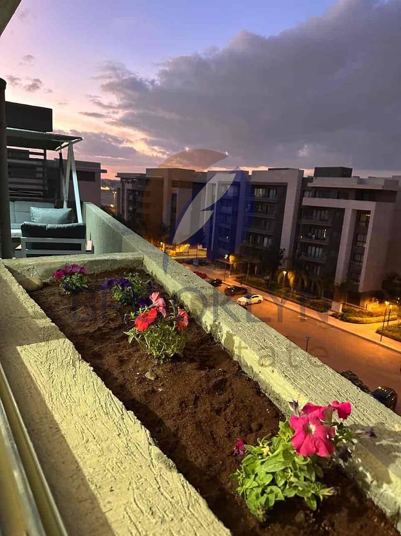 6 58b7c3ad-5cba-48cc-8b59-dda557ab398a. jpg