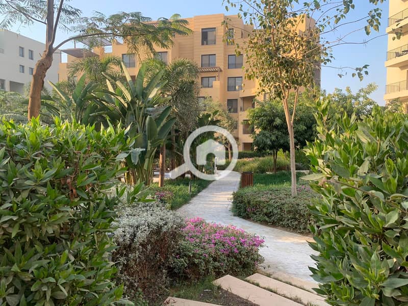 7 614669131_26303058912614380_7748153351245803715_n. jpg