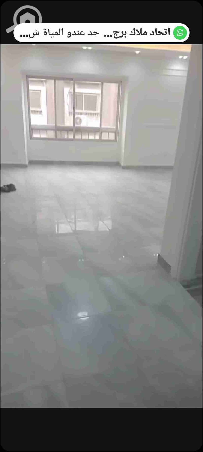 1000395813. jpg 1000395813. jpg