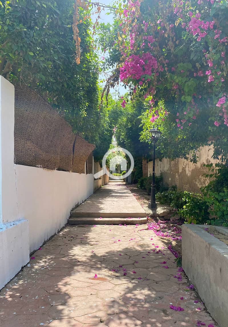 13 WhatsApp Image 2023-04-19 at 3.20. 05 PM. jpeg