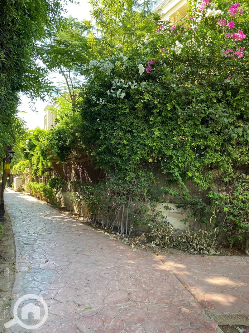 16 WhatsApp Image 2024-07-31 at 12.31. 36 PM (1). jpeg