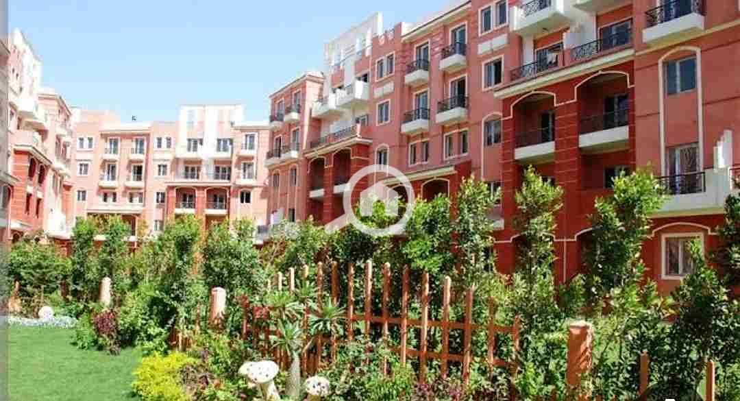 2 Screenshot_20260110_170101. jpg