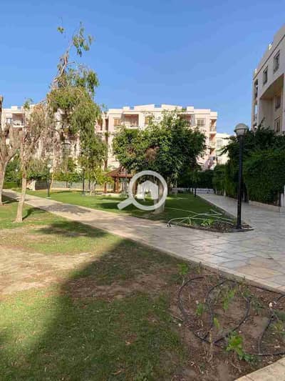 3 Bedroom Apartment for Sale in New Cairo, Cairo - 1001028457. jpg