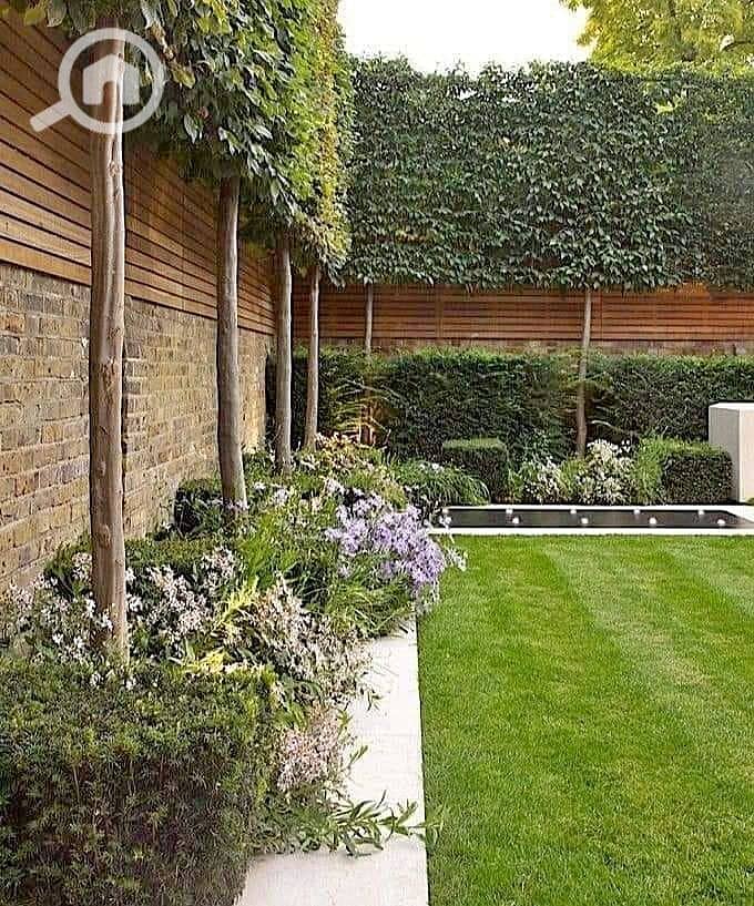 10 366931713_253726380805651_6442065455580860007_n - Copy. jpg