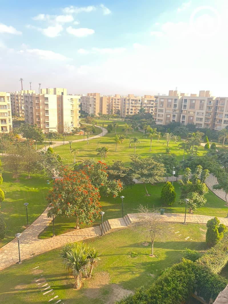 7 75f9c493-a4b6-4895-a608-96af821e2689. jpeg