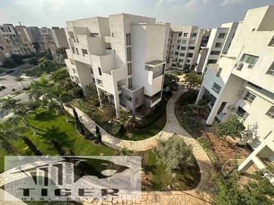 فلیٹ 3 غرف نوم للايجار في مدينتي، القاهرة - 1000456075. jpg