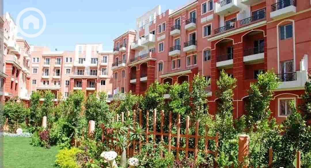 2 Screenshot_20260110_170101. jpg