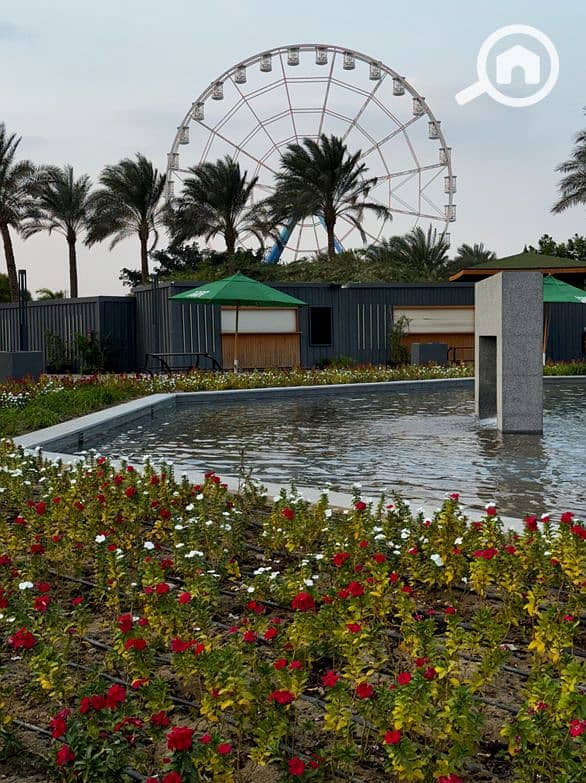 21 Screenshot_26. png