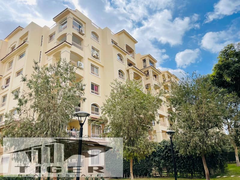 4 WhatsApp Image 2026-01-10 at 6.16. 55 PM. jpeg