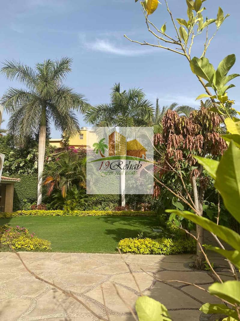 5 b4241010-ed99-42a2-b7ee-93849b8f9972. jpg