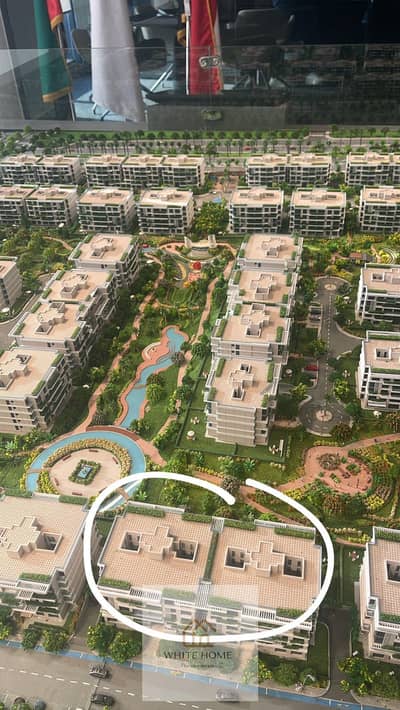 فلیٹ 2 غرفة نوم للبيع في القاهرة الجديدة، القاهرة - WhatsApp Image 2025-11-12 at 3.25. 02 PM. jpeg