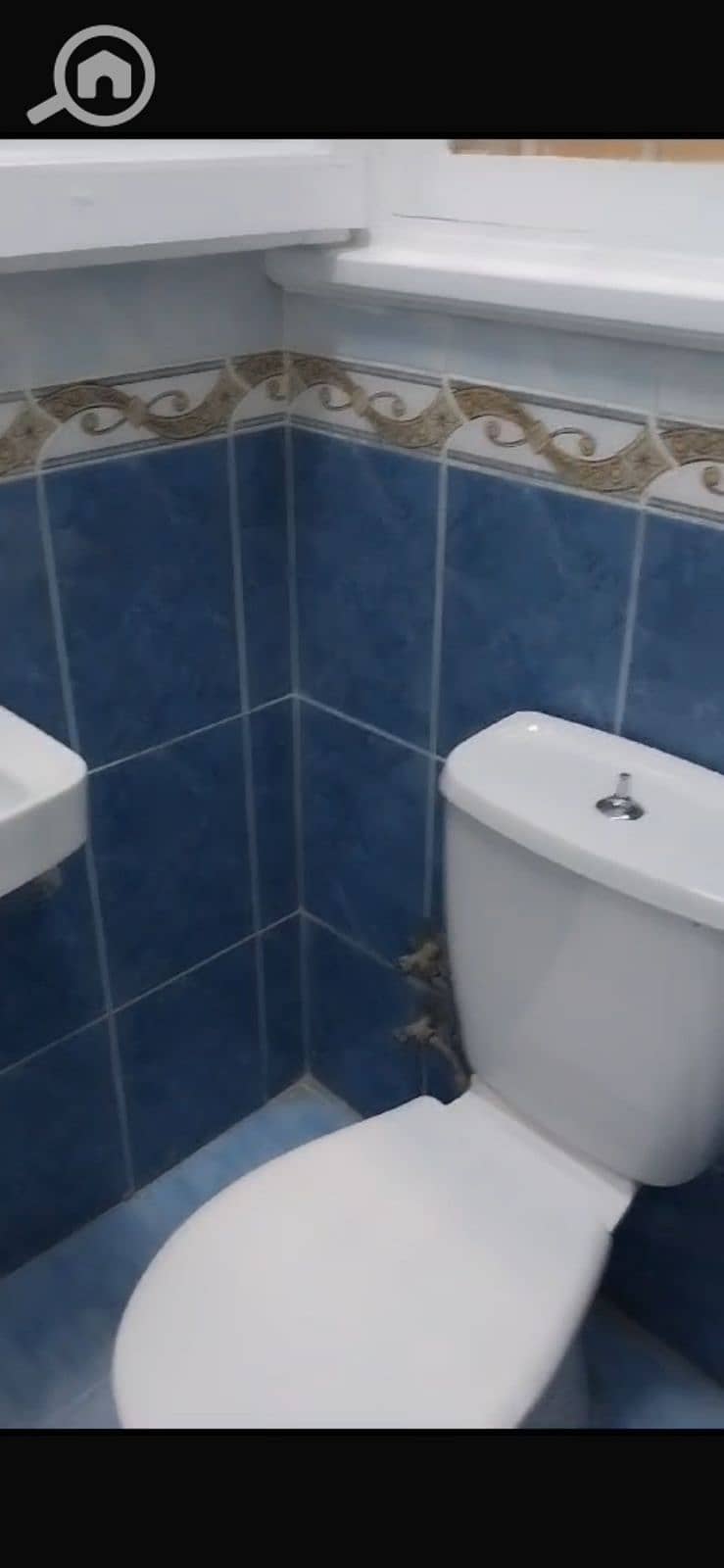 7 15b2c7f2-f023-4c49-b498-f5ccb069a211. jpg