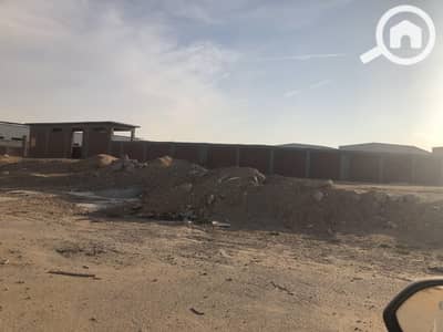 صناعي  للبيع في العاشر من رمضان، الشرقية - 2019_11_17_15_34_IMG_7445. JPG