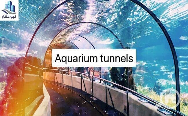 39 WhatsApp-Image-2021-11-27-at-12.05. 56-PM. jpeg